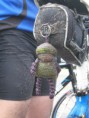 /album/stofwisseltour-2013/stofwisseltoer-2013-065-jpg/